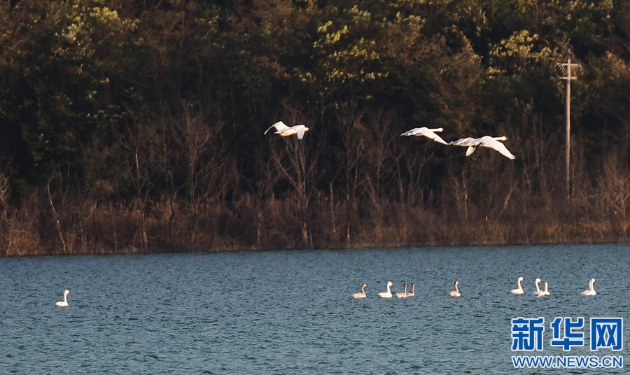 1639537769608031199.jpg 1.jpg