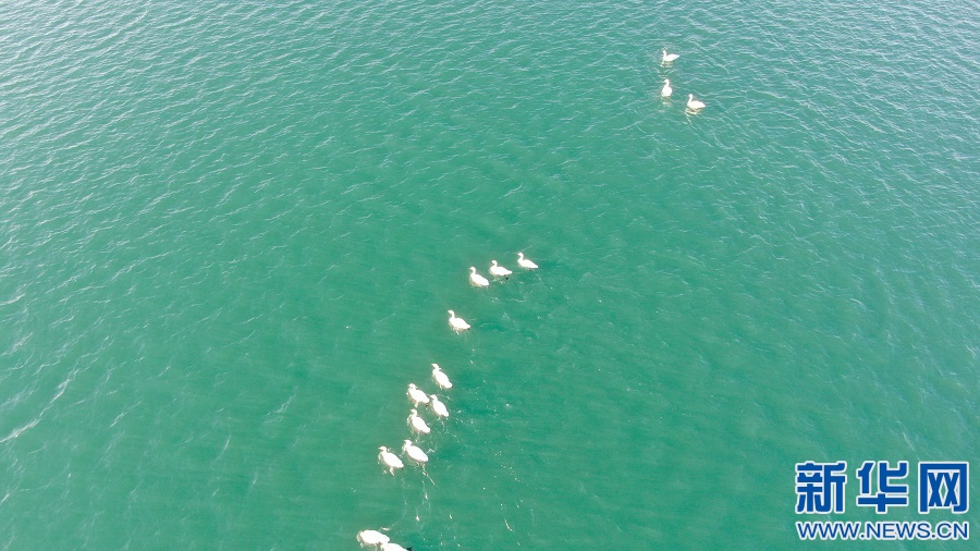 1639537789185046690.jpg 3.jpg