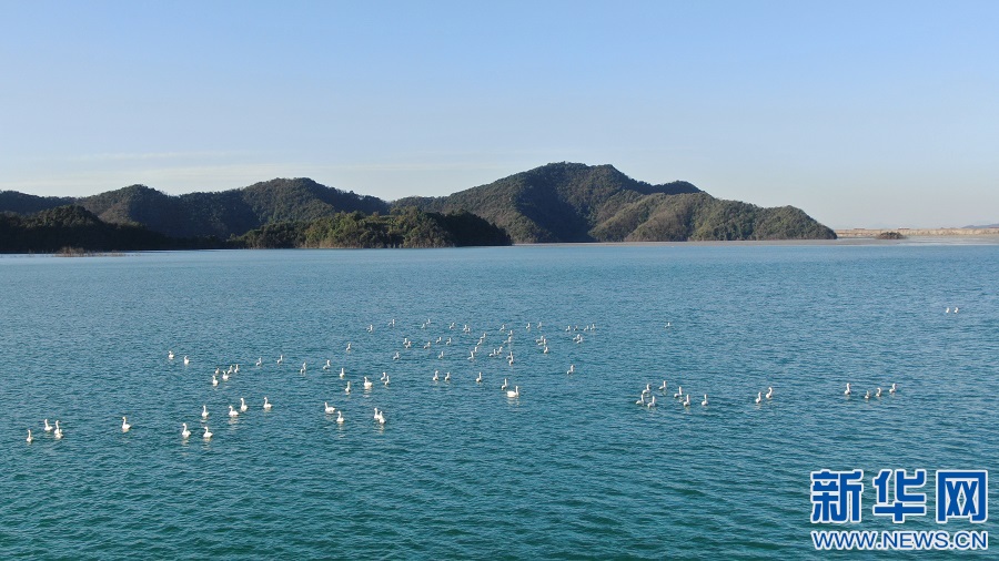 1639537798352048337.jpg 4.jpg