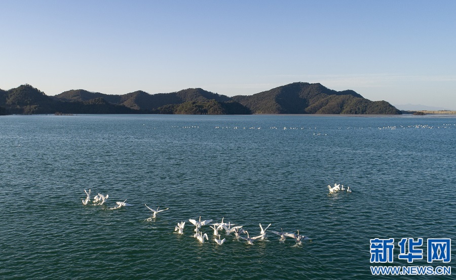 1639537804919001351.jpg 5.jpg