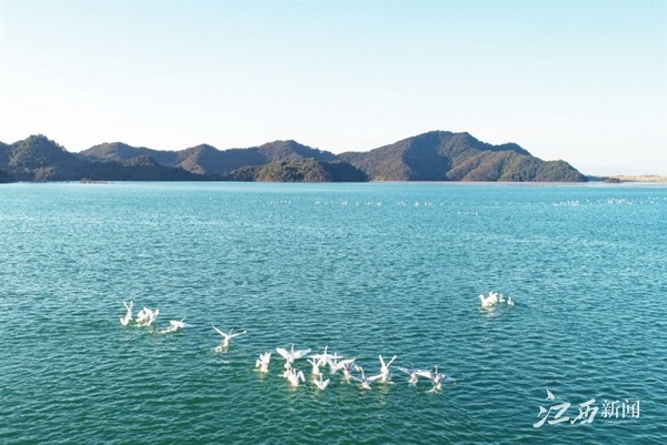 1642858015258082023.jpg 8.jpg