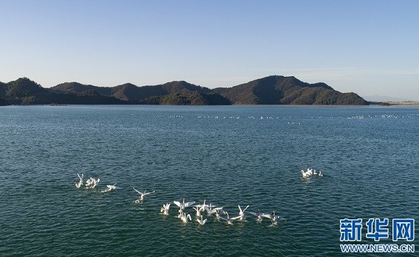 1642915858184096842.jpg 3.jpg