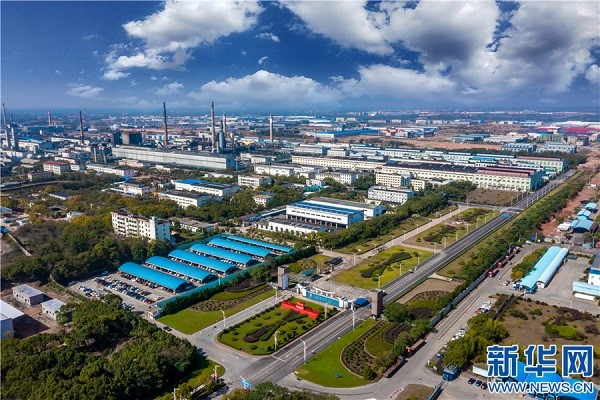 1642915868022071962.jpg 4.jpg