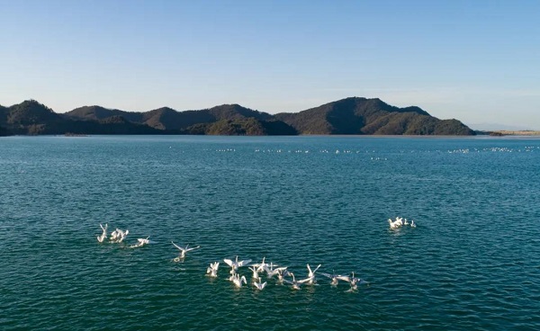 1642916140190019021.jpg 6.jpg