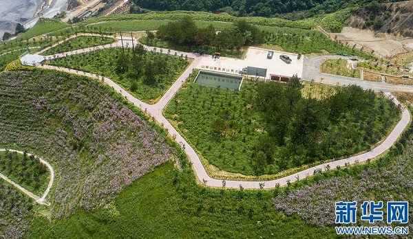 1657671498675004845.jpg 3.jpg