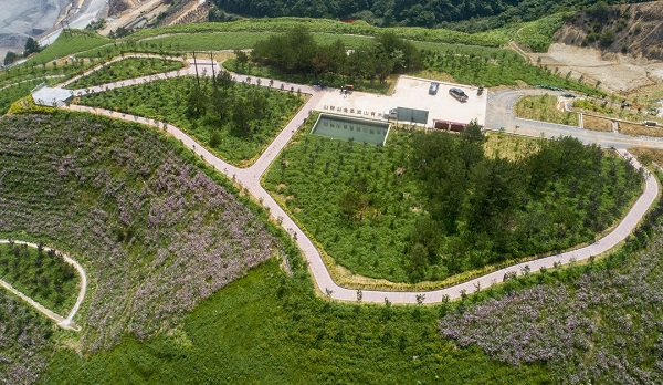 1657672156322029817.jpg 3.jpg